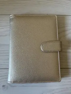 Item thumbnail for item c37e6a62-c7da-4cc6-9360-e57e93c90621