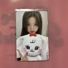 IVE POPUP minive キャラクターハグバッグ ウォニョントレカ付き IVE POPUP minive キャラクターハグバッグ ウォニョントレカ付き ive
