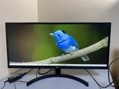 LG ウルトラワイドモニター　29wl500-b　2021年製