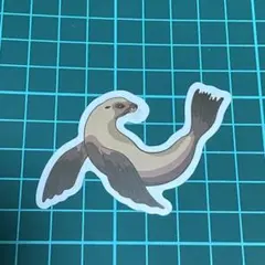 水の生き物 海洋生物 動物 アニマル アシカ ポップ 防水ステッカー【新品】★
