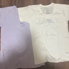 Item thumbnail for item c61c2680-b270-4fd3-8e51-f58ae0344a54