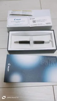 PILOT 万年筆マンネンヒツ エリート95S BFブラック FES1MMBF - メルカリ