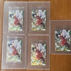 ドラゴンボールスーパーダイバーズ　SDVP-020　孫悟空　天使悟空　5枚セット