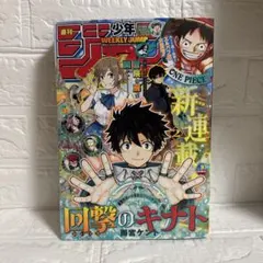 shin様 リクエスト 2点 まとめ商品