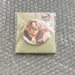 鬼滅の刃 不死川実弥 劇場版 無限城編 描き下ろしイラスト 飾れる缶バッジ