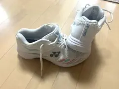 Item thumbnail for item e62ff236-69b3-4f3f-9965-52a03eef6fbd