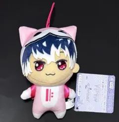 Re:vale 百 千　きらどる&おまんじゅうぬいぐるみ各種　【まとめ売り】 アイナナ Re:vale 百 千 きらどるぬいぐるみ REUNION Tシャツ - メルカリ