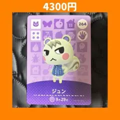 ジュン どうぶつの森 あつ森 amiibo アミーボ カード