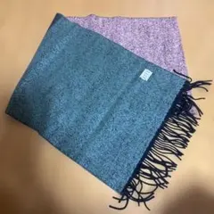 Item thumbnail for item 74bf7df0-3d9e-4b5a-9033-a7d316592c08