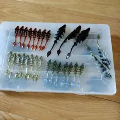 TAIGEN タイゲンのサムネイル