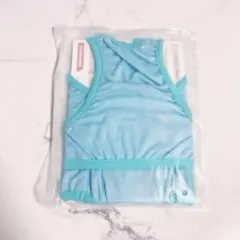 Item thumbnail for item c09b3f22-8e5f-468e-8752-b5b27b126335