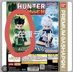 HUNTER HUNTER ゴン すわらせ隊リアル