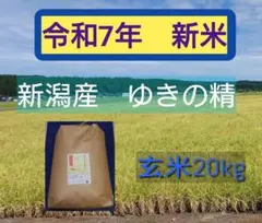 美味しい玄米20キロ】農薬・化学肥料不使用 はざ掛け天日干し