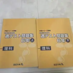 四谷大塚週テスト問題集 2020・2019（旧版） 5年下 算数・理科・社会 2026年最新】週テスト問題集の人気アイテム - メルカリ