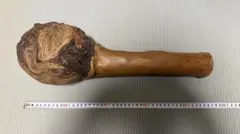 Item thumbnail for item f841e5e5-11a6-4174-8ad0-72701d2a65ca