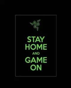 Razer A2 ポスター - メルカリ
