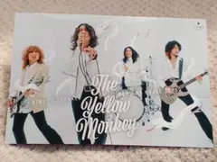 The Yellow Monkey フォト　ハガキサイズ