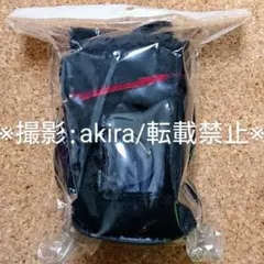ねんどろいどどーる おでかけポーチ casket 黒 ブラック 棺桶