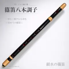 2026年最新】篠笛 八本調子の人気アイテム - メルカリ