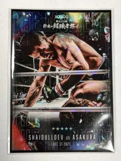 Item thumbnail for item 2bfaa541-b77f-4545-8cfe-929a8f0b7ccd