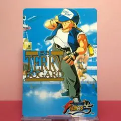 テリーボガード 餓狼伝説 カード キングオブファイター カードダス
