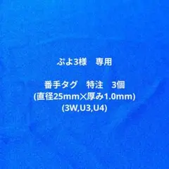 Item thumbnail for item f947ada2-f70c-4f55-b966-32ccce97419c