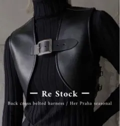 2025年最新】LITmus ハーネスの人気アイテム - メルカリ