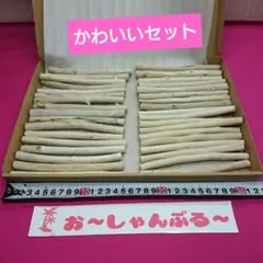 流木セットno.411