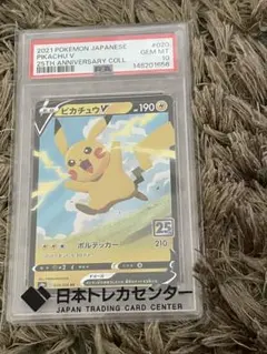 エラーカード】ピカチュウV RR ソード&シールド 拡張パック 25th