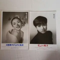 松雪泰子　白鳥麗子でございます　B2ポスター　新品額装付き 映画「白鳥麗子でございます」 : 松雪泰子 / 小椋久雄