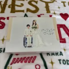 パーフェクトワールド DVD セット 松坂桃李 山本美月 松村北斗 - メルカリ