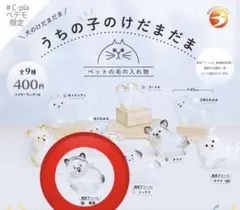 【正規品】うちの子のけだまだま　犬　 黒柴【限定アソート】　1点