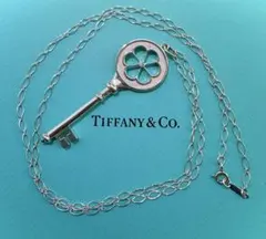 Tiffany ティファニー 1P ダイヤ ラージ ブロッサム キー ネックレス 