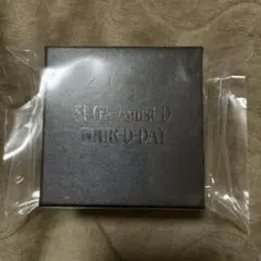 SUGA / Agust D D-DAYTOUR イヤリングセット (SV_F)