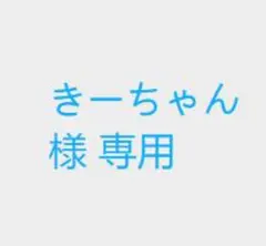 きーちゃん 様 専用