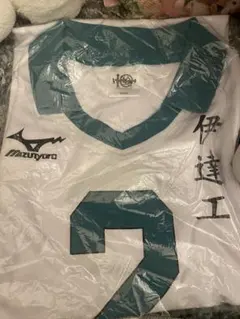 Item thumbnail for item bbc9f038-368c-4b94-8c12-abeb7152e342