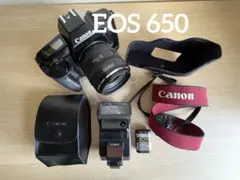 Canon キヤノン EOS 20D バッテリー2個 ACアダプター ジャンク扱