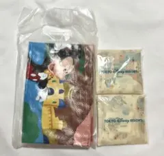 ディズニー JALパック エコバッグ レジャーシートのサムネイル