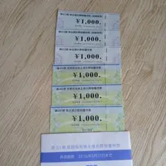 ビックカメラ・コジマ株主優待券 6000円分