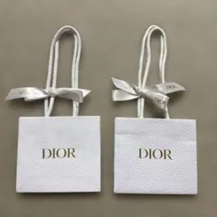 DIOR ショッピングバッグ小　2点