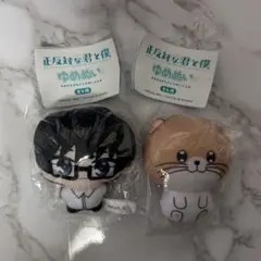 【新品未開封】正反対な君と僕 ゆめぬい ガチャ カプセルトイ 谷 てんぷら