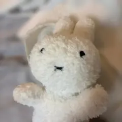 Item thumbnail for item a186817a-58df-4c81-b4cc-108ed83a5a22