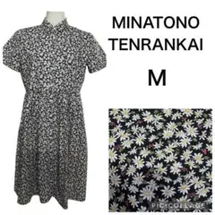 2026年最新】minatono tenrankaiの人気アイテム - メルカリ