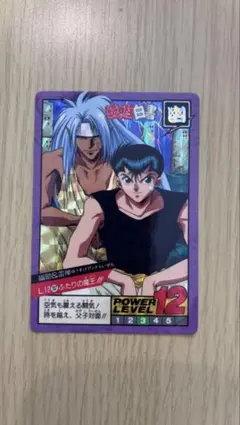 カードダス 幽遊白書 210 - メルカリ