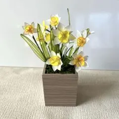 スイセン