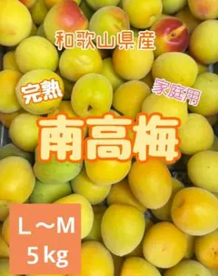現品限り‼️大玉‼️和歌山県産 木熟紅南高梅 4L.3Lサイズ 3kg みかんキング 今年も入荷‼️和歌山県産 完熟南高梅 超大玉‼️4Lサイズ 3kg みかん
