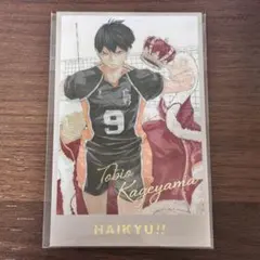 トゥータン様 リクエスト 2点 まとめ商品