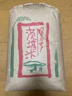 茨城県産　令和7年コシヒカリ　玄米　30kg 精米無料のサムネイル