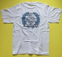 Item thumbnail for item 62126ed4-f3c2-4514-8517-fc55ae20c4b8