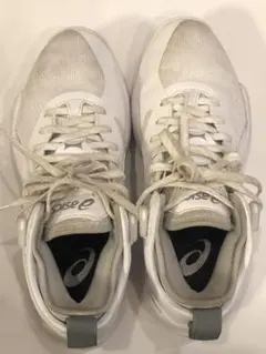 ノヴァサージ ロー 2 バスケットボールシューズ 25センチ アシックス